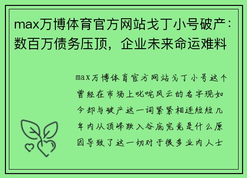 max万博体育官方网站戈丁小号破产：数百万债务压顶，企业未来命运难料 - 副本